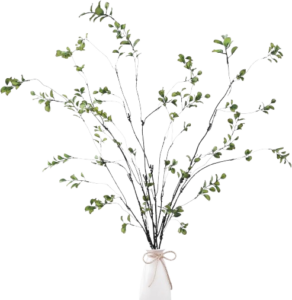 Branches